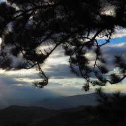 "it's better to travel"